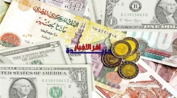 تحديثات الأسعار.. استقرار صرف العملات بمصر في ختام تعاملات الأربعاء 11 فبراير 2026